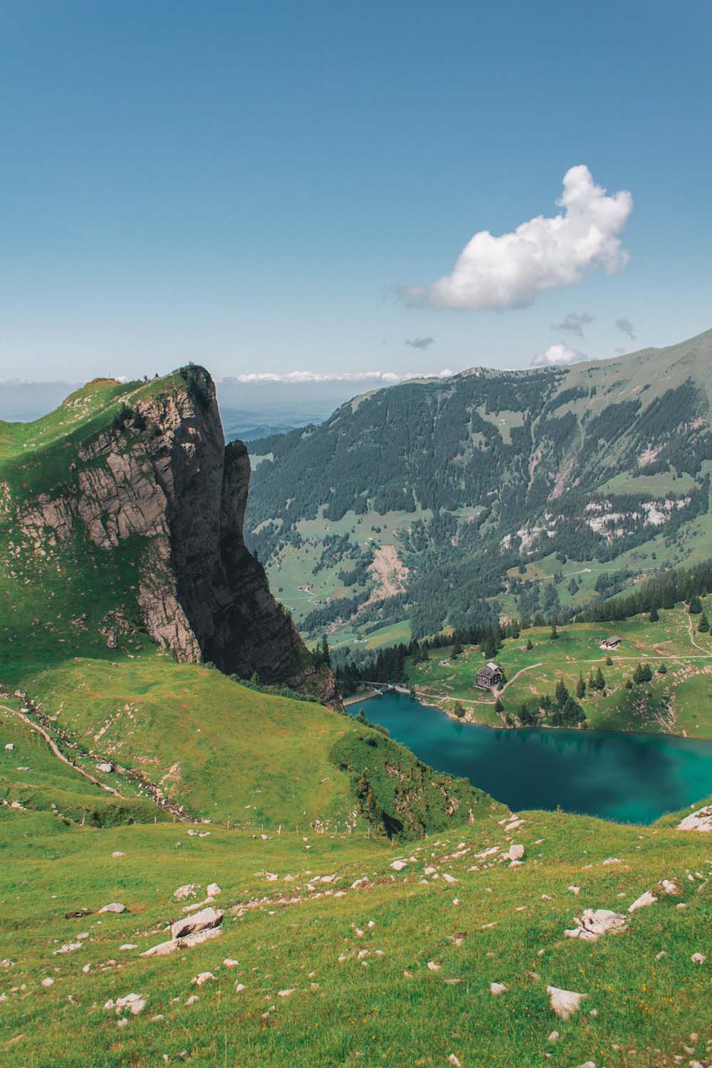 Ein Sommer auf der Alp Oberfeld