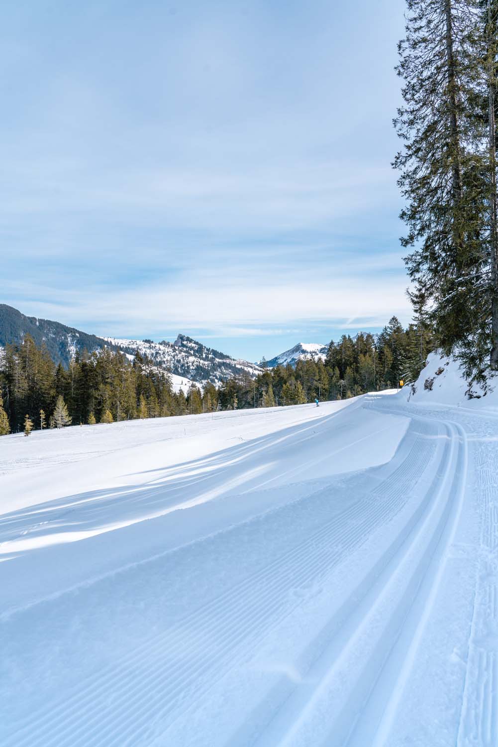 Gastronomische Rundwanderung Sörenberg | Langlaufspur