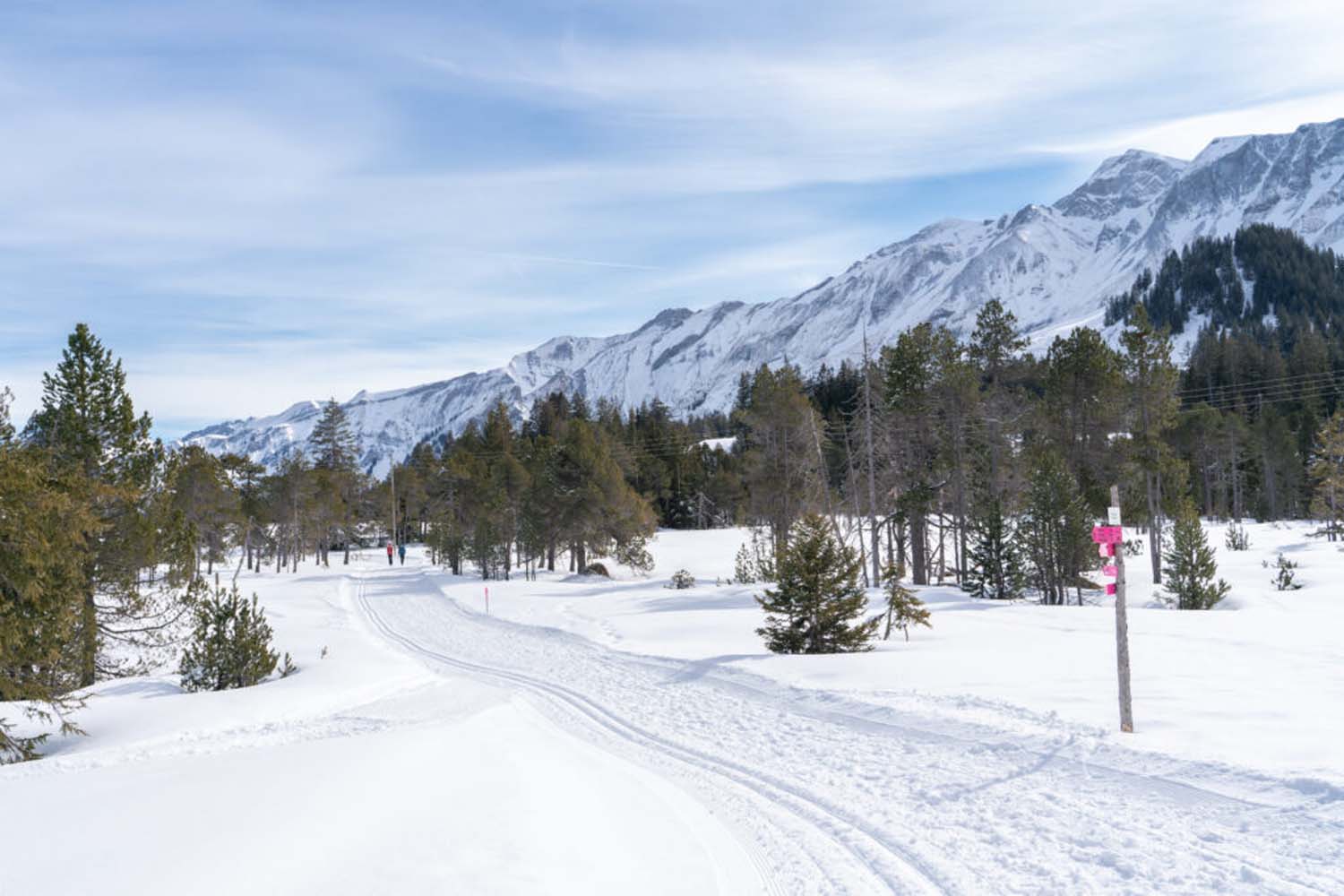 Gastronomische Rundwanderung Sörenberg | Brienzergrat