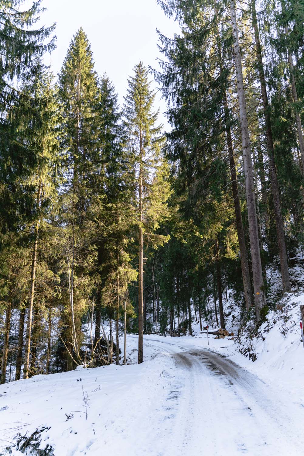 Gastronomische Rundwanderung Sörenberg | Winterwald