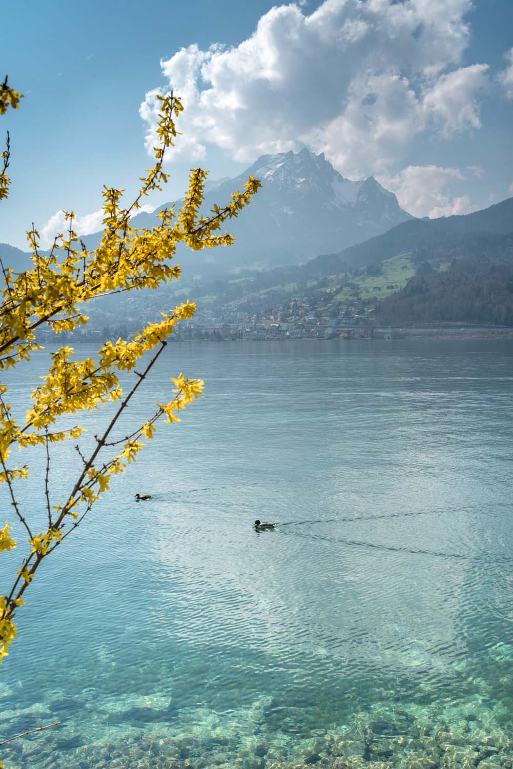 Datinglocation | Horwer Halbinsel