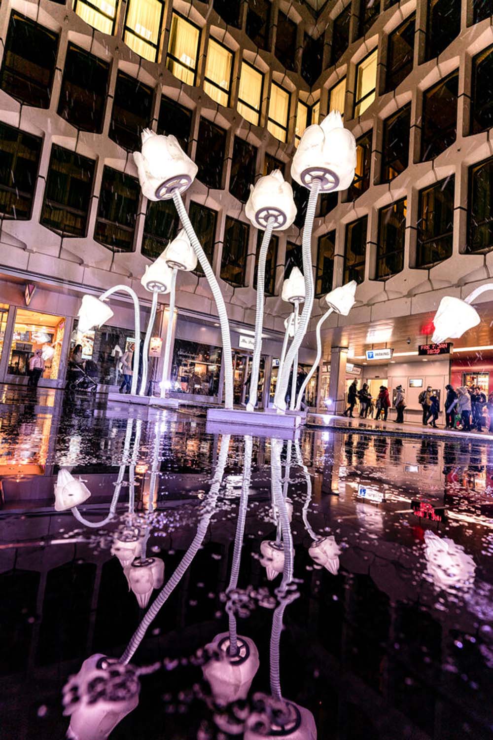 Lilu Lichtfestival Luzern | Tulips