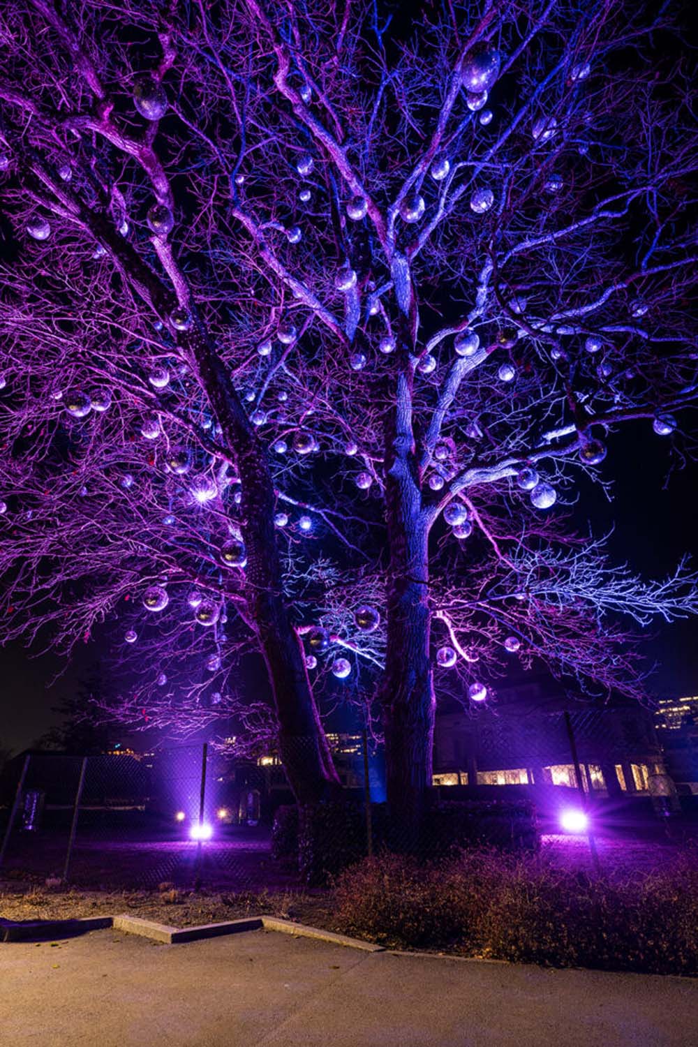 Lilu Lichtfestival Luzern | Strahlenmeer