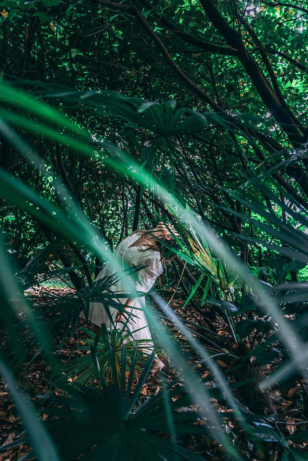 Tanzbild | Monte Verità