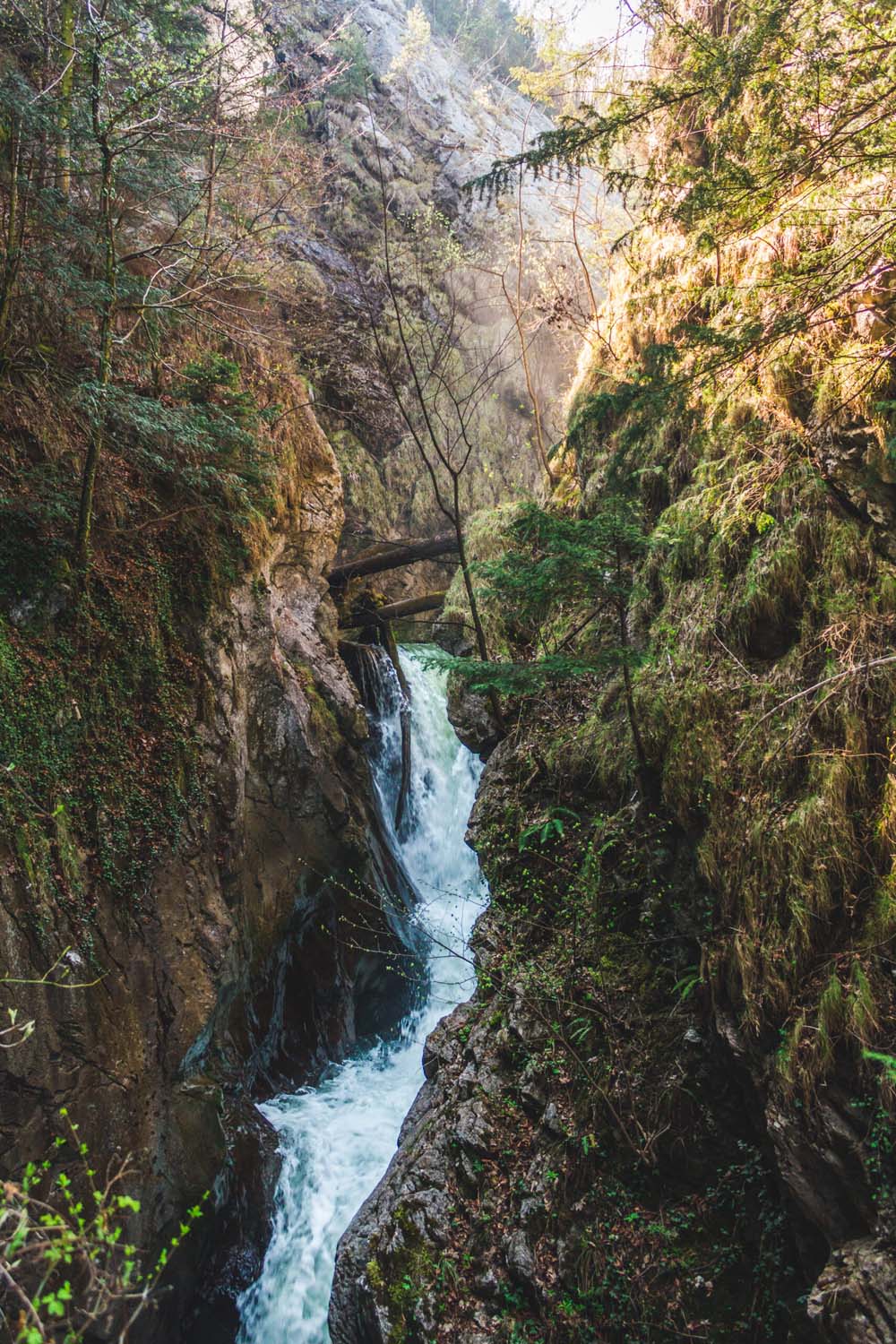 Waldstätterweg Etappe 7 | Risletenschlucht