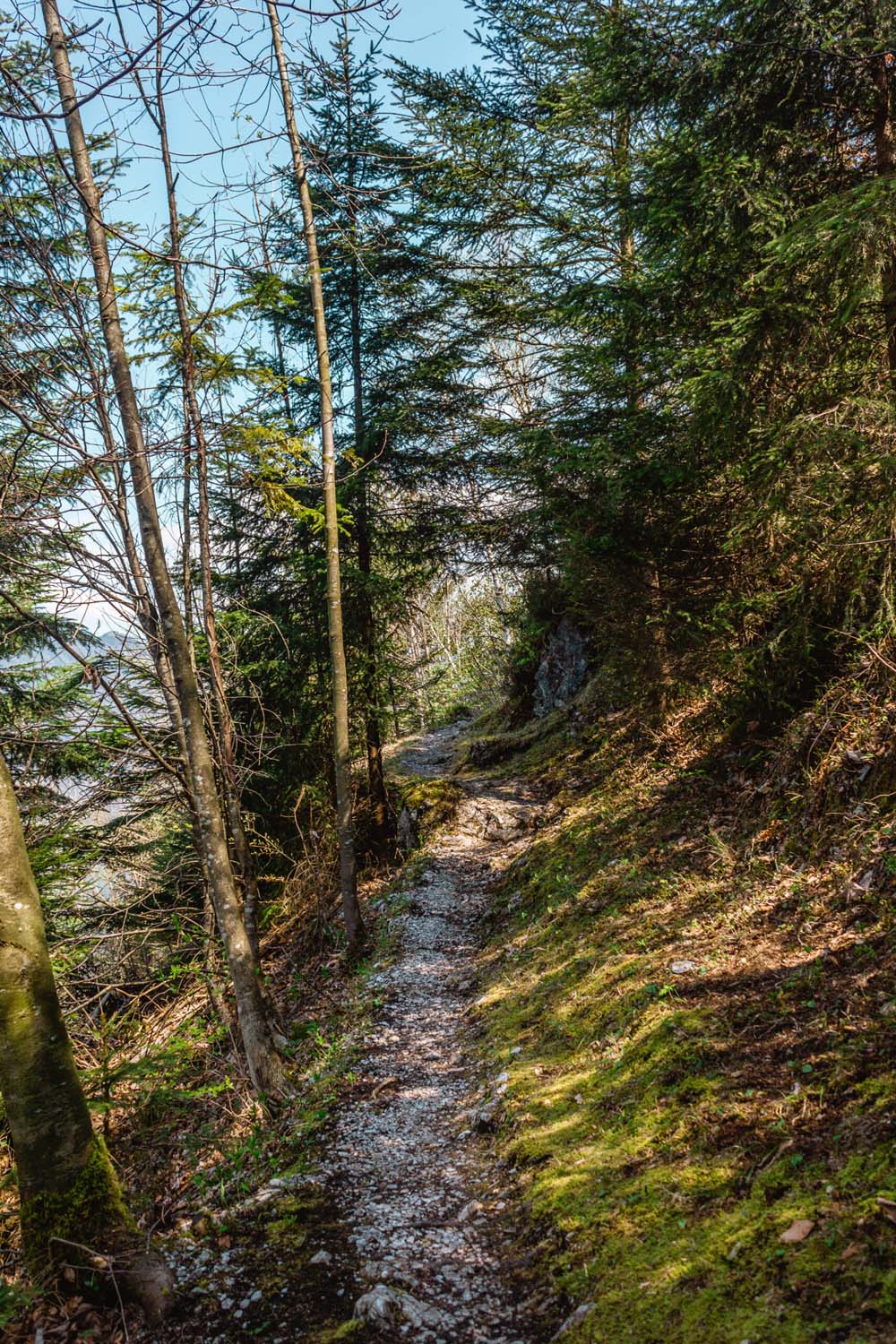 Waldstätterweg Etappe 7 | Wanderweg Wald