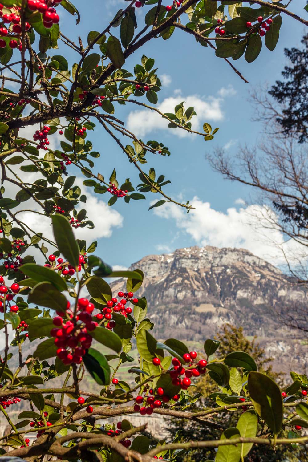 Waldstätterweg Etappe 7 | Ausblick Fronalpstock